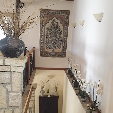 Private With Panoramic View Agia Evthymia